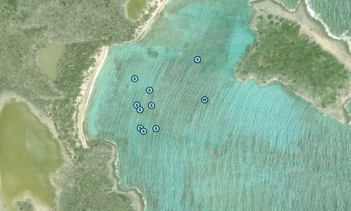 Satelite image of Man O' War Bay