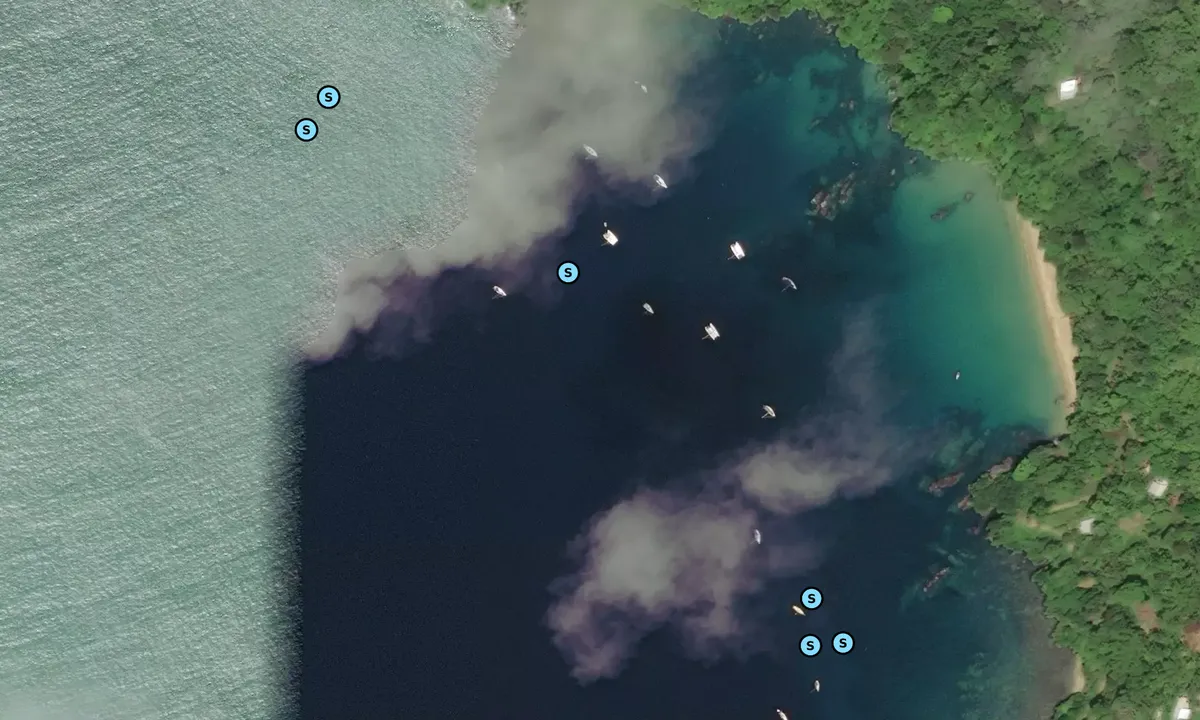 Satelite image of Man of War Bay - Charlotteville