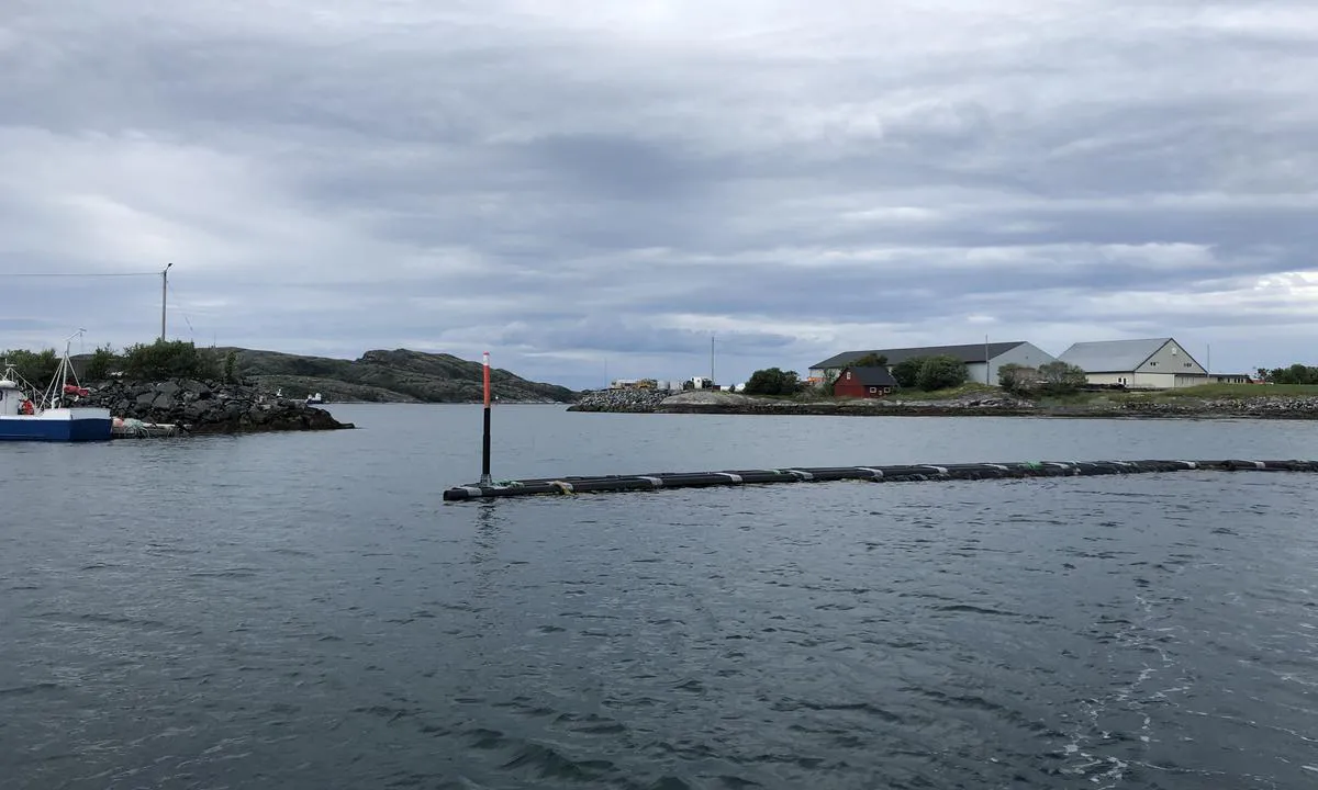 Måneset Båtforening: Bølgebryter mellom åpningen i moloen og flytebrygga (som ligger ut til høyre for bildet), gir roligere sjø på nordvestlig vind