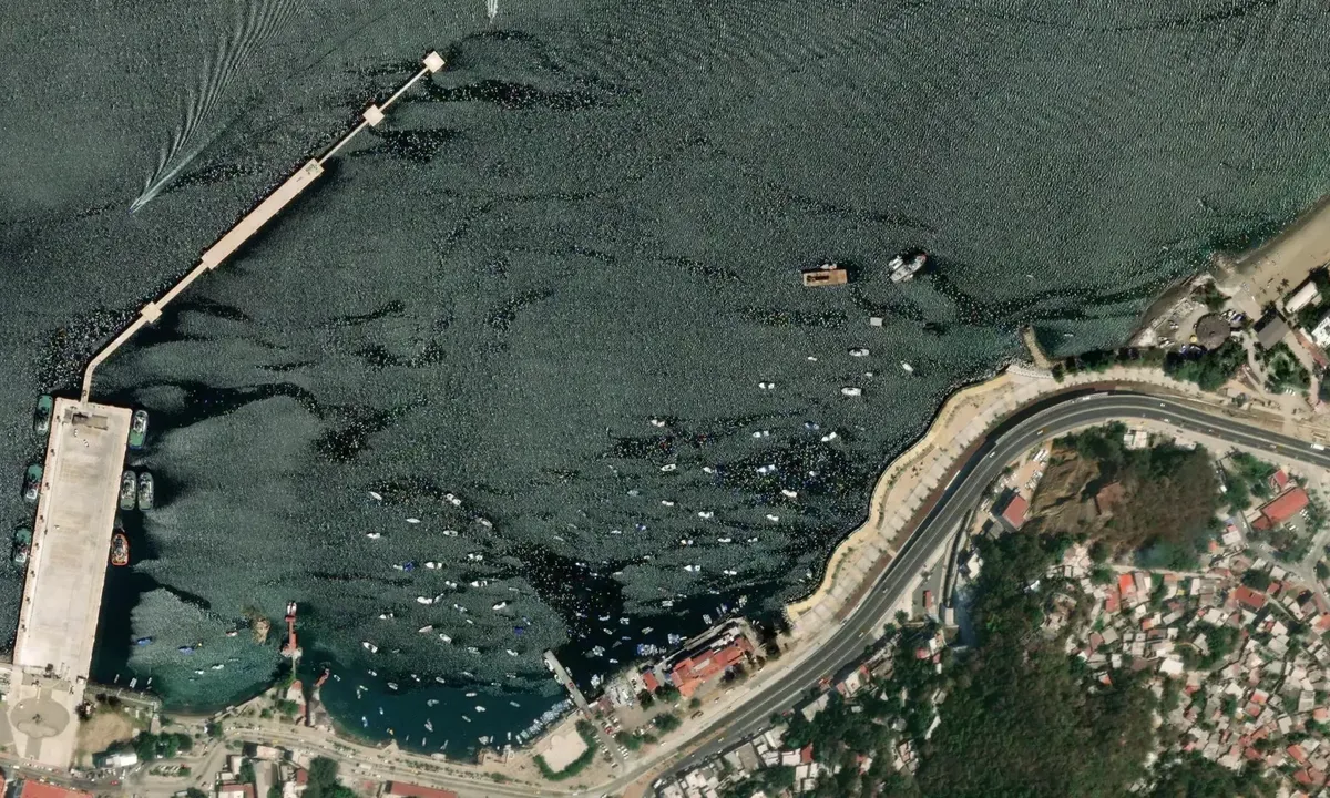 Satelite image of Manzanillo