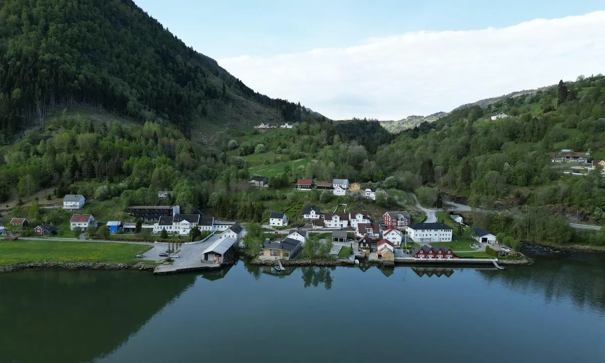 Marifjøra