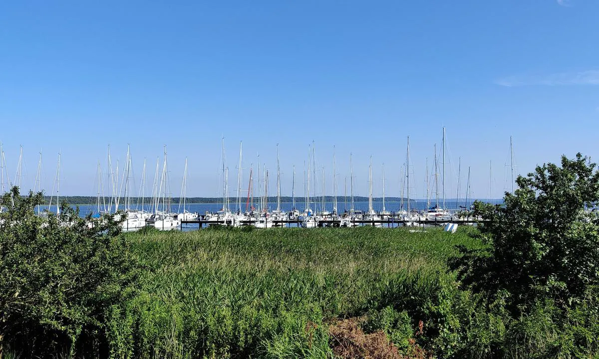 Hafen Breege
