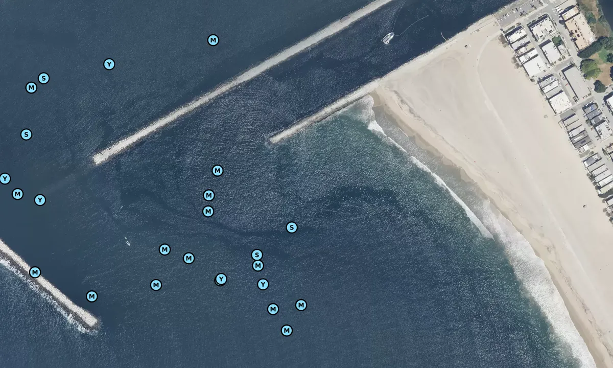 Satelite image of Marina Del Rey - Los Angeles
