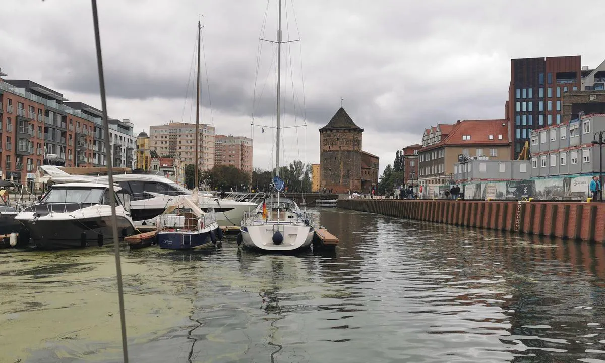 {"base": "en", "no": "City Marina Gdansk", "se": "Stadsmarina Gdansk", "en": "City Marina Gdansk", "da": "City Marina Gda\u0144sk", "fr": "Marina de la Ville de Gdansk", "de": "Stadtmarina Danzig", "es": "City Marina Gdansk", "it": "City Marina Gdansk", "pt": "City Marina Gdansk", "nl": "Stadsjachthaven Gdansk", "pl": "Marina Miejska Gda\u0144sk", "uk": "\u041c\u0456\u0441\u044c\u043a\u0430 \u041c\u0430\u0440\u0438\u043d\u0430 \u0413\u0434\u0430\u043d\u0441\u044c\u043a", "ro": "City Marina Gda\u0144sk", "tr": "City Marina Gda\u0144sk", "el": "\u039c\u03b1\u03c1\u03af\u03bd\u03b1 \u03a0\u03cc\u03bb\u03b7\u03c2 \u0393\u03ba\u03b1\u03bd\u03c3\u03ba", "cs": "M\u011bstsk\u00e1 Marina Gda\u0148sk", "hu": "City Marina Gdansk", "fi": "City Marina Gdansk", "bg": "\u041c\u0430\u0440\u0438\u043d\u0430 \u0432 \u0413\u0434\u0430\u043d\u0441\u043a", "sr": "Gradska Marina Gdanjsk", "et": "Linna Jahtsadam Gda\u0144sk", "lv": "Pils\u0113tas Jahtu Osta Gda\u0146ska", "lt": "City Marina Gdanskas"}