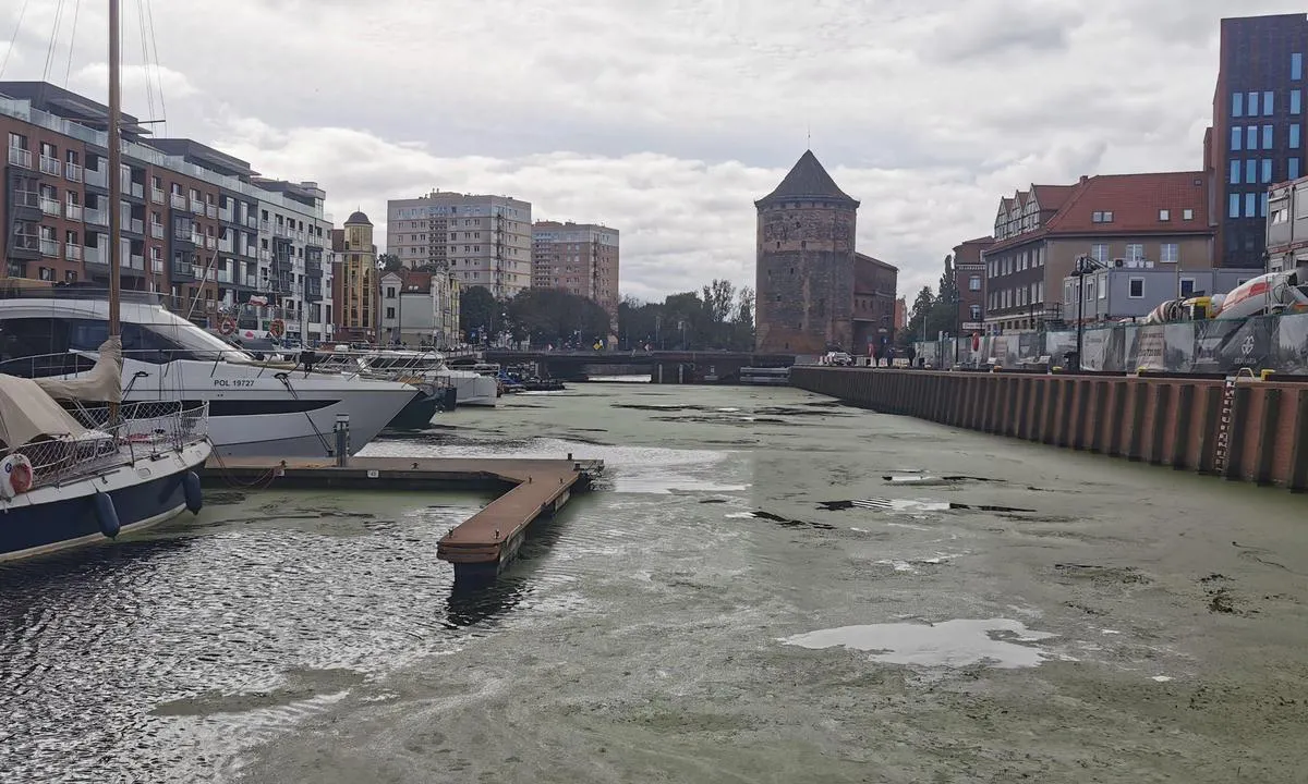 {"base": "en", "no": "Bymarina Gdansk Danzig", "se": "City Marina Gda\u0144sk Danzig", "en": "City Marina Gdansk Danzig", "da": "City Marina Gdansk Danzig", "fr": "Marina de la Ville de Gdansk Dantzig", "de": "City Marina Gdansk Danzig", "es": "Marina de la Ciudad de Gdansk Danzig", "it": "City Marina Gda\u0144sk Danzica", "pt": "City Marina Gdansk Danzig", "nl": "City Marina Gdansk Danzig", "pl": "City Marina Gda\u0144sk Danzig", "uk": "\u041c\u0456\u0441\u044c\u043a\u0430 \u041c\u0430\u0440\u0438\u043d\u0430 \u0413\u0434\u0430\u043d\u0441\u044c\u043a \u0414\u0430\u043d\u0446\u0438\u0433", "ro": "City Marina Gdansk <b>Portul Marina</b> Gdansk, <b>Danzig</b>", "tr": "Gdansk \u015eehir Marinas\u0131 Danzig", "el": "\u039c\u03b1\u03c1\u03af\u03bd\u03b1 \u03c4\u03b7\u03c2 \u03c0\u03cc\u03bb\u03b7\u03c2 \u0393\u03ba\u03bd\u03c4\u03b1\u03bd\u03c3\u03ba \u039d\u03c4\u03ac\u03bd\u03b6\u03b9\u03b3\u03ba", "cs": "M\u011bstsk\u00e1 marina Gda\u0148sk Danzig", "hu": "City Marina Gda\u0144sk Danzig", "fi": "City Marina Gdansk Danzig", "bg": "\u0413\u0440\u0430\u0434\u0441\u043a\u043e \u043f\u0440\u0438\u0441\u0442\u0430\u043d\u0438\u0449\u0435 \u0413\u0434\u0430\u043d\u0441\u043a \u0414\u0430\u043d\u0446\u0438\u0433", "sr": "Gradska marina Gdanjsk Dancig", "et": "Linna Jahisadam Gda\u0144sk Danzig", "lv": "Pils\u0113tas jahtu osta Gda\u0146ska Danciga", "lt": "Miesto prieplauka Gdanskas Dancigas"}