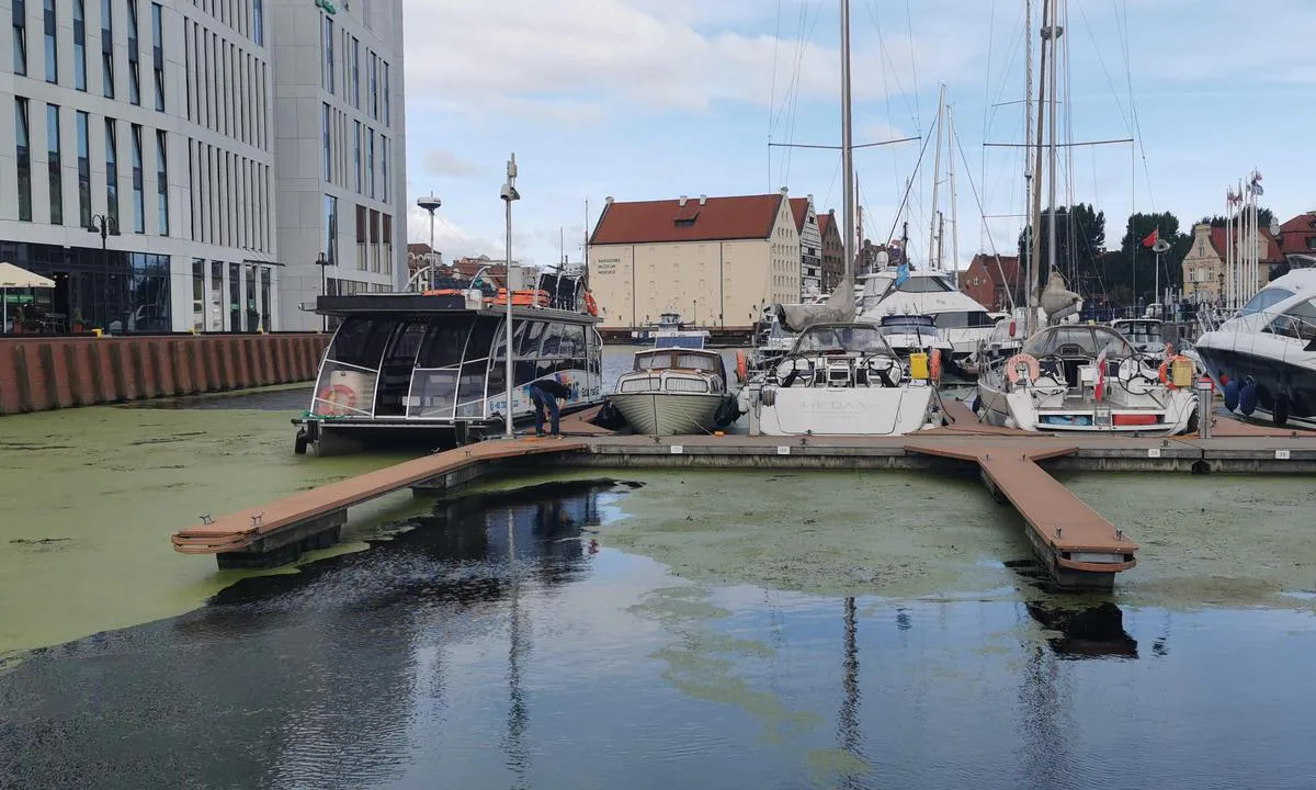{"base": "en", "no": "City Marina Gda\u0144sk Danzig", "se": "City Marina Gda\u0144sk Danzig", "en": "City Marina Gdansk Danzig", "da": "City Marina Gdansk Danzig", "fr": "City Marina Gdansk Danzig", "de": "City Marina Gdansk Danzig", "es": "Marina de la Ciudad Gdansk Danzig", "it": "Marina Citt\u00e0 Danzica", "pt": "Marina da Cidade de Gda\u0144sk Danzig", "nl": "City Marina Gdansk Danzig", "pl": "Marina Miejska Gda\u0144sk Danzig", "uk": "\u041c\u0456\u0441\u044c\u043a\u0430 \u043c\u0430\u0440\u0438\u043d\u0430 \u0413\u0434\u0430\u043d\u0441\u044c\u043a \u0414\u0430\u043d\u0446\u0438\u0433", "ro": "Marina Ora\u0219ului Gda\u0144sk Danzig", "tr": "\u015eehir Marinas\u0131 Gdansk Danzig", "el": "\u039c\u03b1\u03c1\u03af\u03bd\u03b1 \u03a0\u03cc\u03bb\u03b7\u03c2 \u0393\u03ba\u03bd\u03c4\u03b1\u03bd\u03c3\u03ba \u039d\u03c4\u03ac\u03bd\u03c4\u03c3\u03b9\u03b3\u03ba", "cs": "M\u011bstsk\u00e1 marina Gda\u0148sk Danzig", "hu": "City Marina Gda\u0144sk Danzig", "fi": "City Marina Gda\u0144sk Danzig", "bg": "\u0413\u0440\u0430\u0434\u0441\u043a\u043e \u041c\u0430\u0440\u0438\u043d\u0430 \u0413\u0434\u0430\u043d\u0441\u043a \u0414\u0430\u043d\u0446\u0438\u0433", "sr": "Gradska marina Gdanjsk", "et": "Linna Mar\u00edna Gda\u0144sk Danzig", "lv": "Pils\u0113tas Osta Gda\u0146ska Danciga", "lt": "Miesto Marina Gdanskas (Dancigas)"}