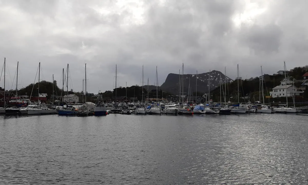 Marinepollen - Svolvær: {"base": "no", "no": "Havna sett fra nord.", "se": "Hamnen sedd fr\u00e5n norr.", "en": "The harbour seen from the north.", "da": "Havnen set fra nord."}