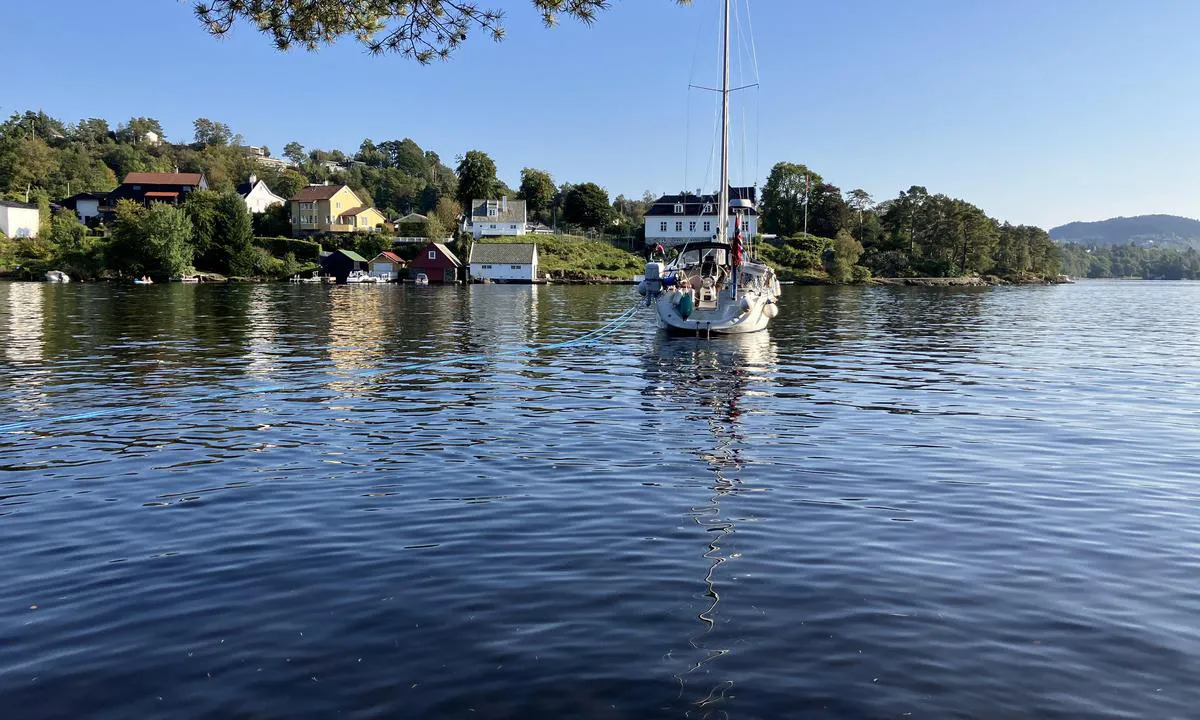 Marmorøyen