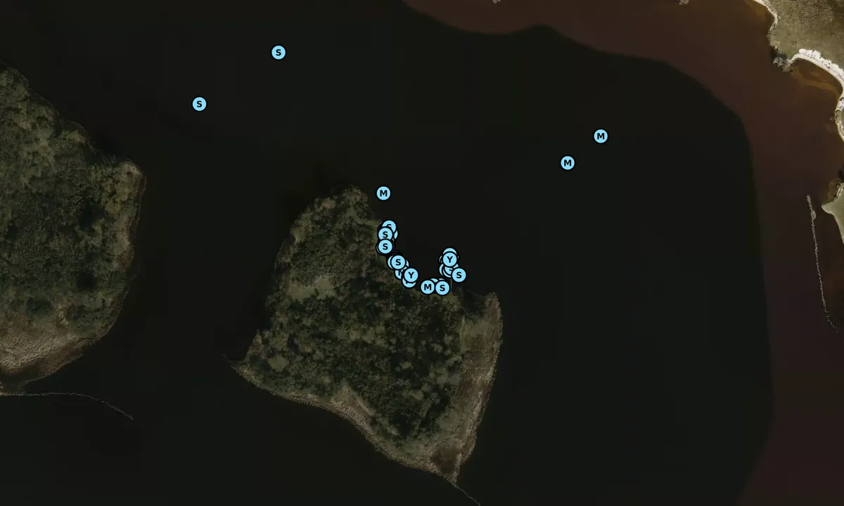 Satelite image of Marrekrite STEIGER LM64 - Stropersgat Zuid