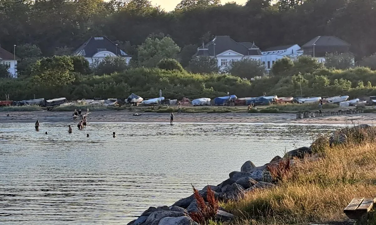 Marselisborg Lystbådehavn