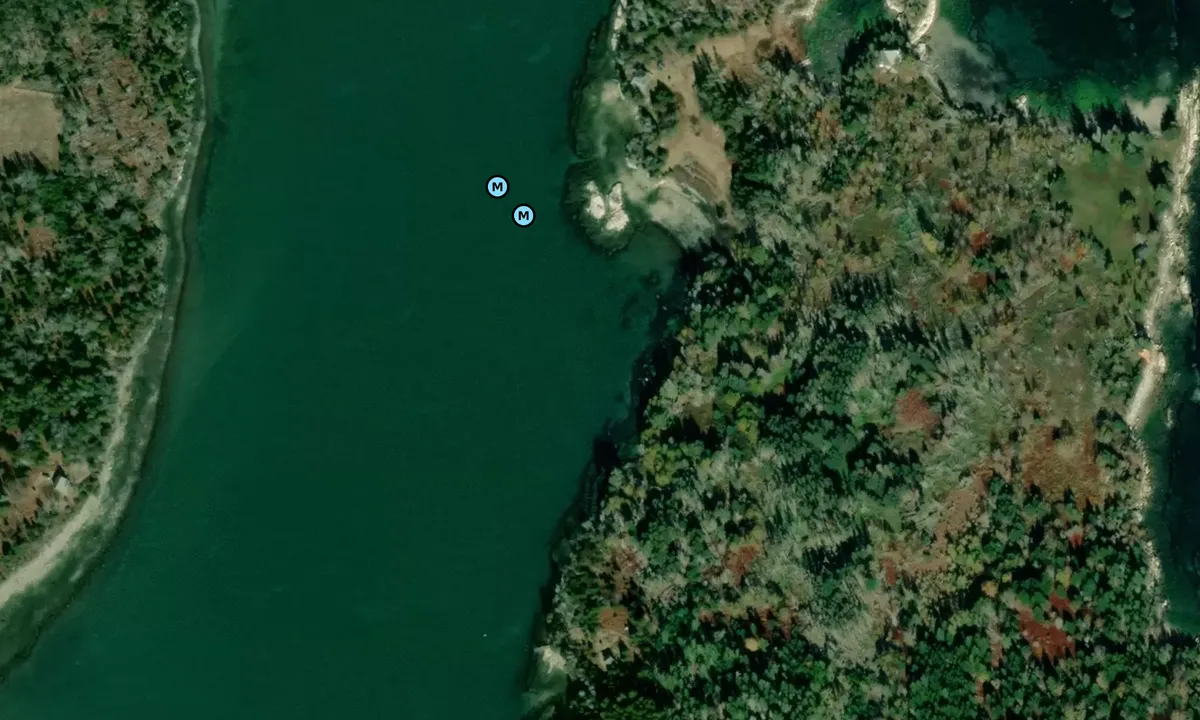 Satelite image of Marsh Island