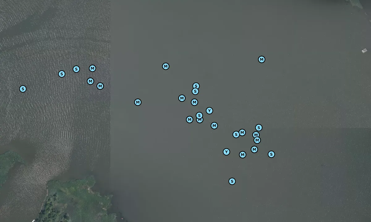 Satelite image of Marshy Creek