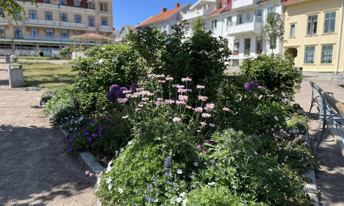 Marstrand: {"base": "no", "no": "Park foran Grand Hotel. Nydelig restaurant p\u00e5 hotellet.", "se": "Parkera framf\u00f6r Grand Hotel. Uts\u00f6kt restaurang p\u00e5 hotellet.", "en": "Park in front of the Grand Hotel. Lovely restaurant at the hotel.", "da": "Park foran Grand Hotel. Dejlig restaurant p\u00e5 hotellet."}