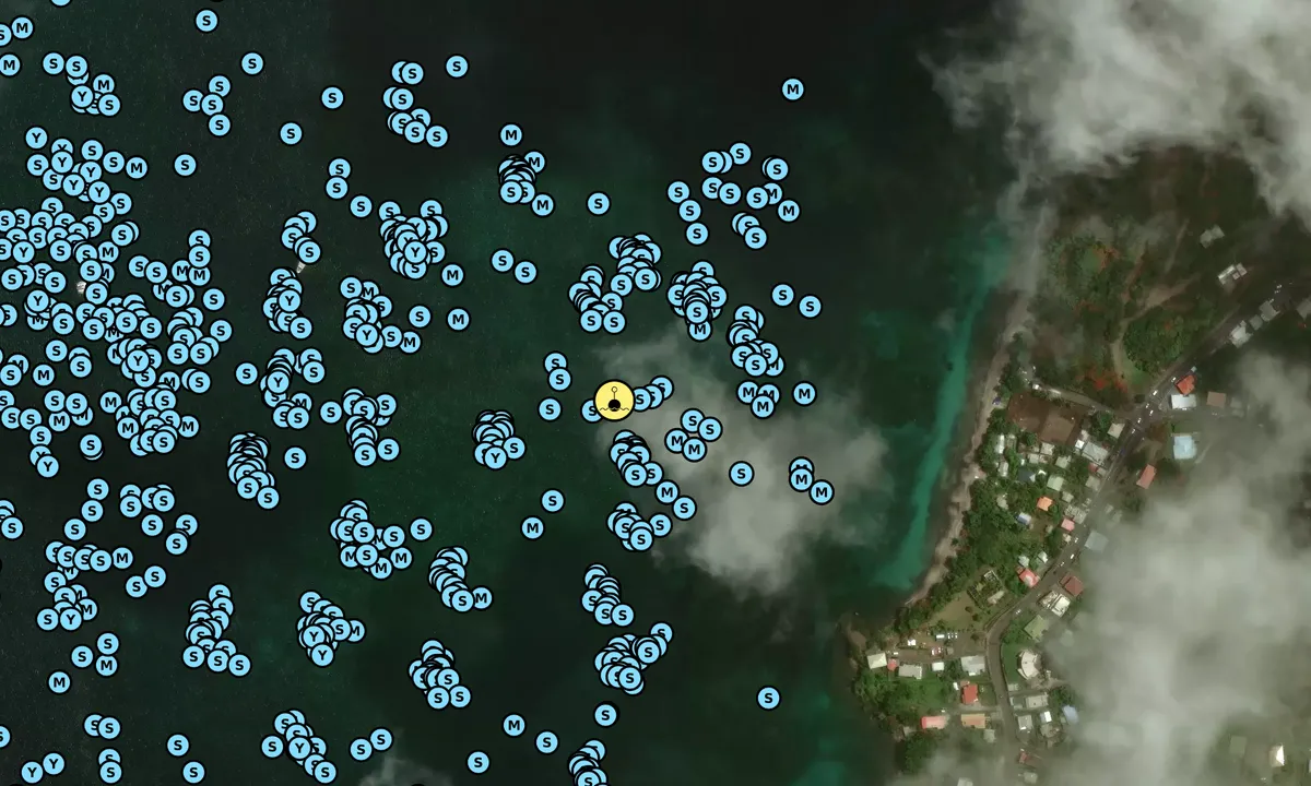 Satelite image of Martin's Bay