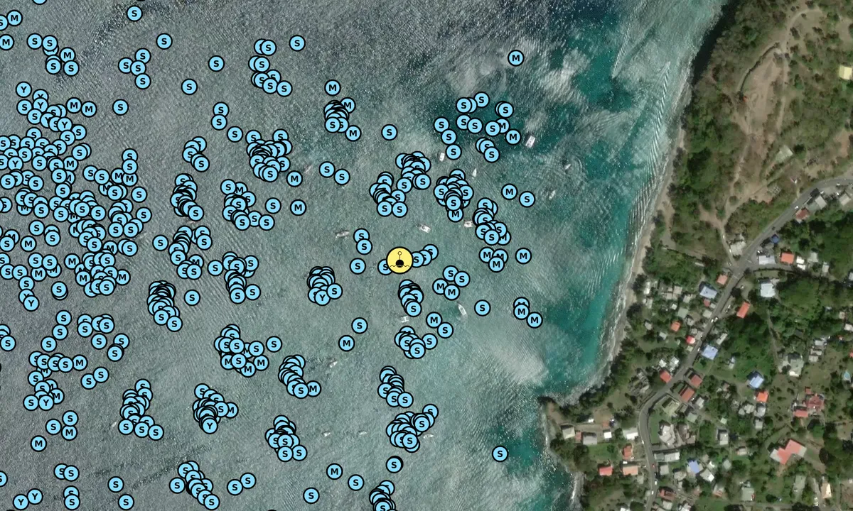 Satelite image of Martin's Bay