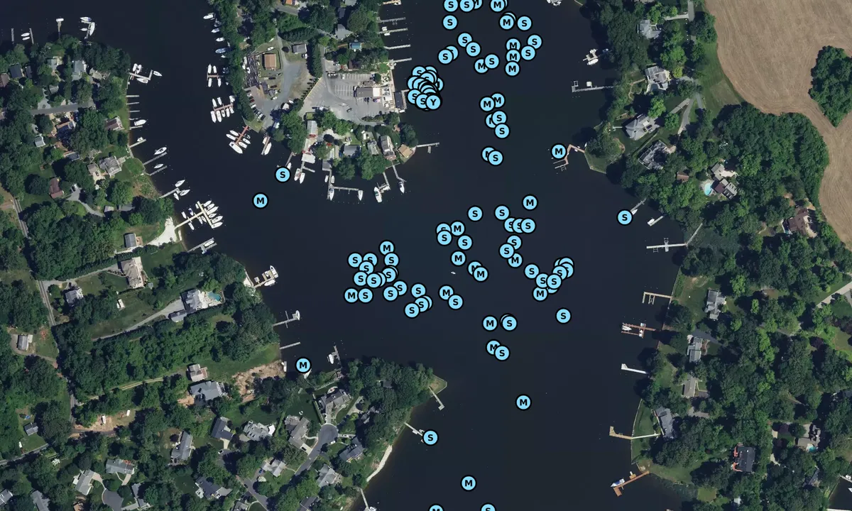 Satelite image of Martins Cove