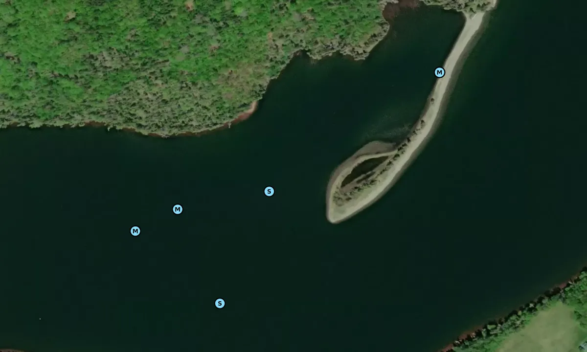 Satelite image of Maskell's Harbour (Boulaceet)