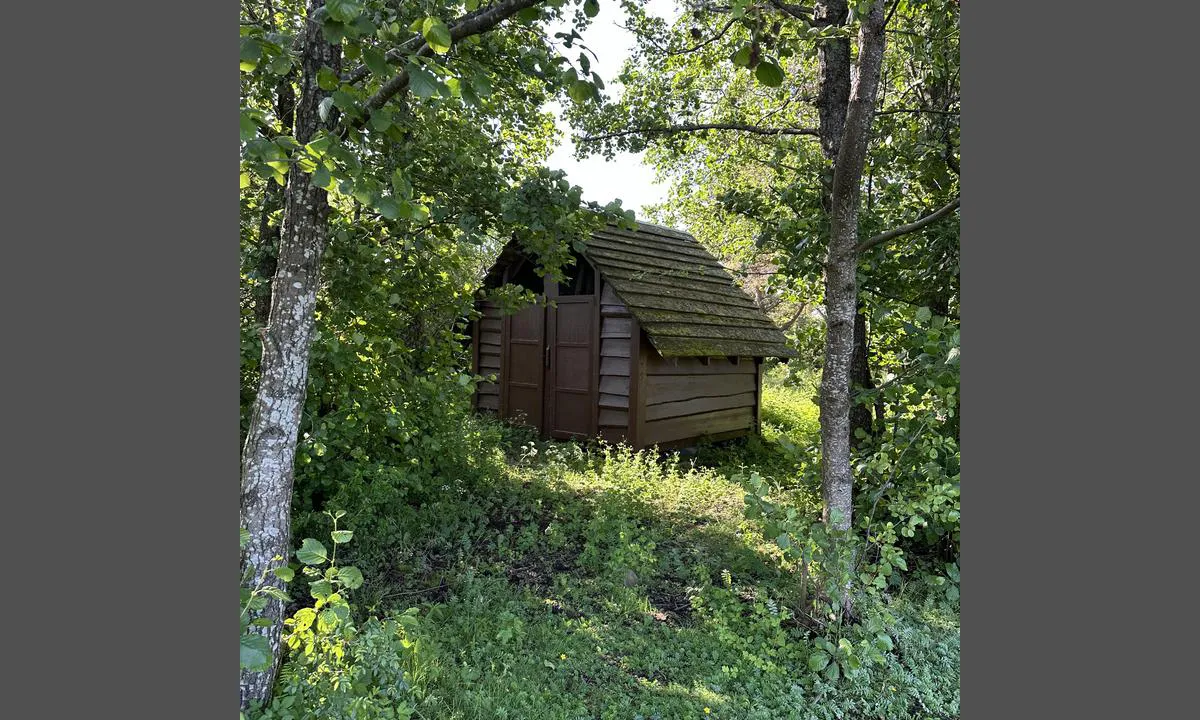 Masseløy: {"base": "no", "no": "Midt p\u00e5 \u00f8ya.", "se": "Mitt p\u00e5 \u00f6n.", "en": "In the middle of the island.", "da": "Midt p\u00e5 \u00f8en."}