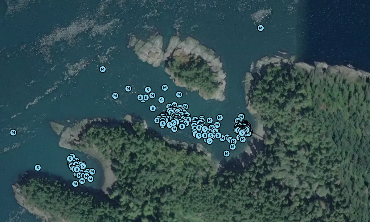 Satelite image of Matia Island State Park