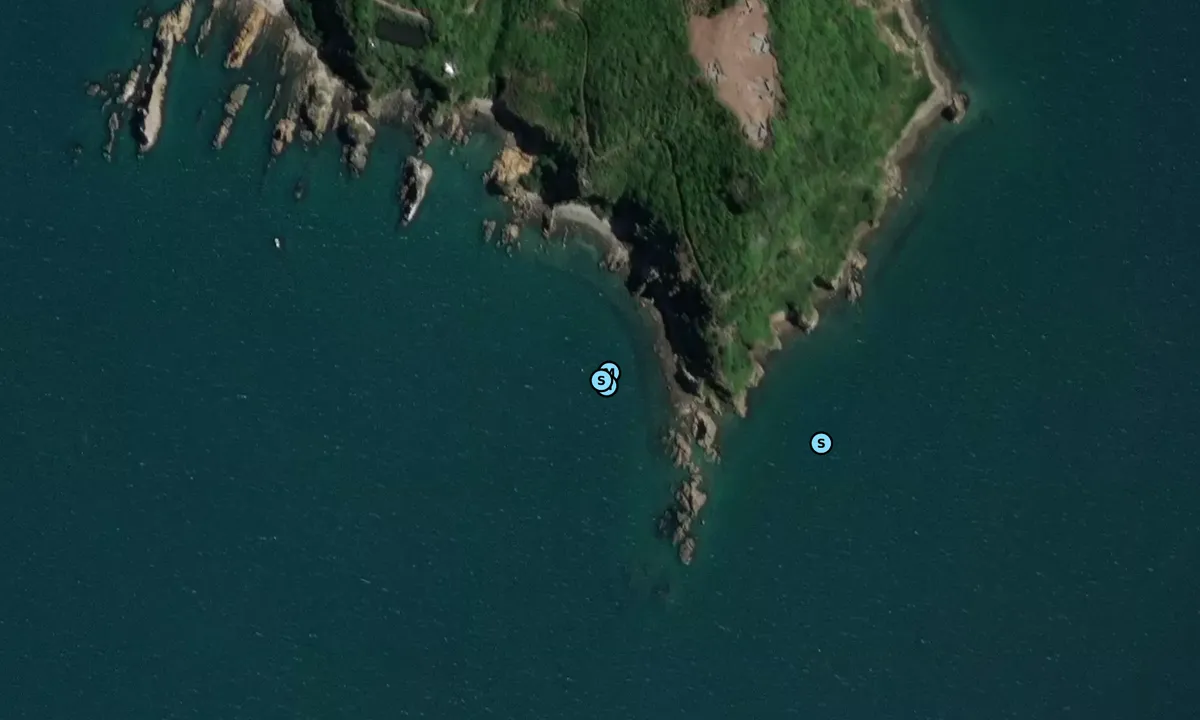 Satelite image of Matiu/ Somes Island