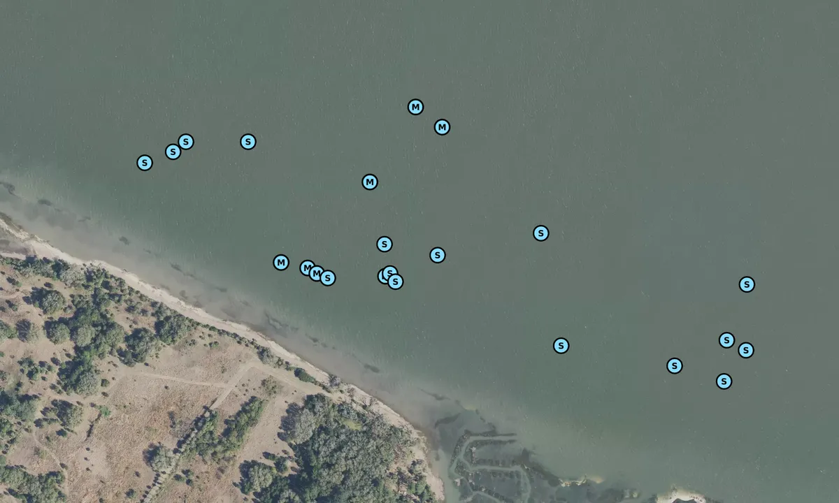 Satelite image of May River