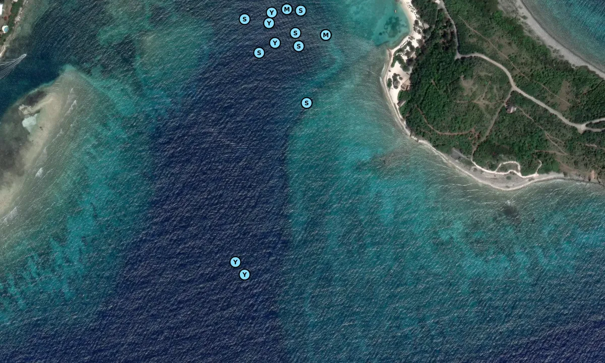 Satelite image of Maya Cove