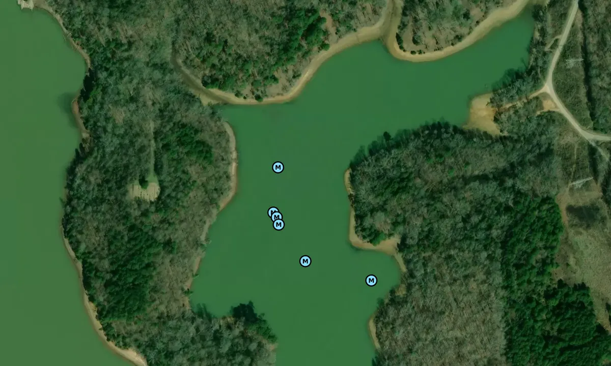 Satelite image of Meigs County Park