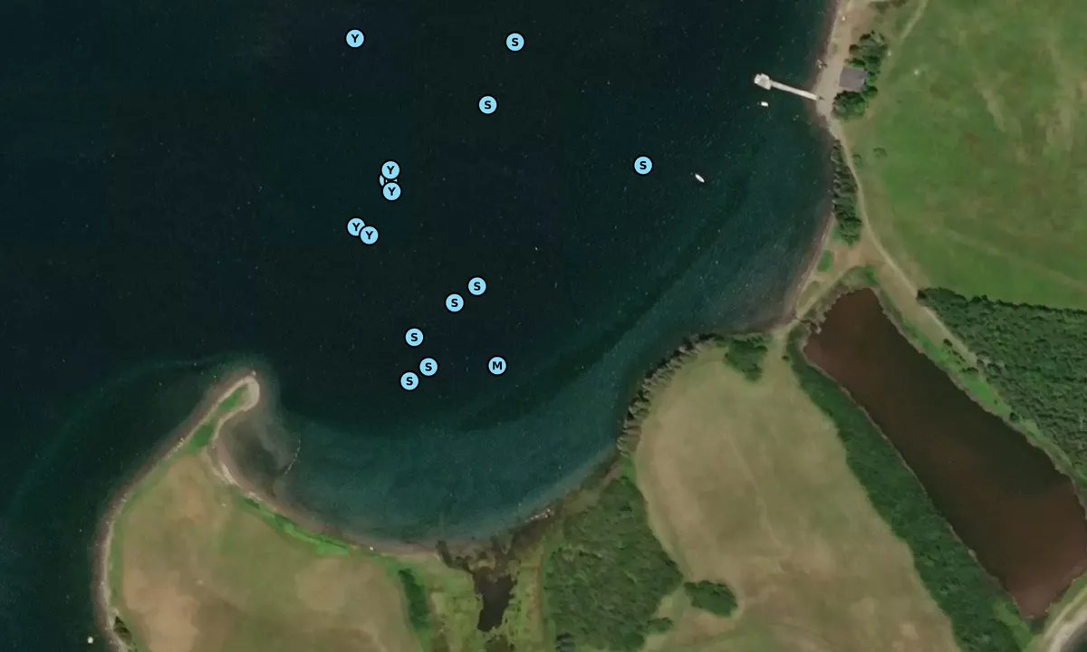 Satelite image of Meisners Island