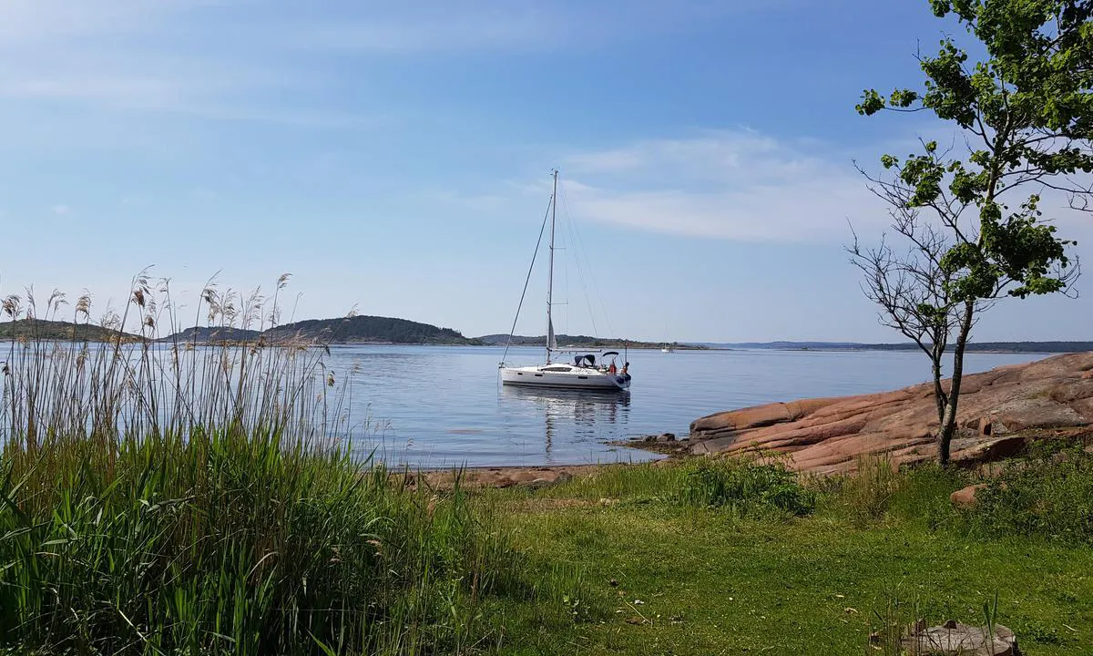 Mellom-Bolæren: {"base": "no", "no": "Bukta s\u00f8r for Grevestua", "se": "Viken s\u00f6der om Grevestua", "en": "The bay south of Grevestua", "da": "Bugten syd for Grevestua"}