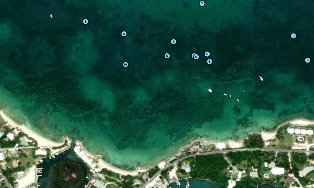 Satelite image of Mermaid Reef