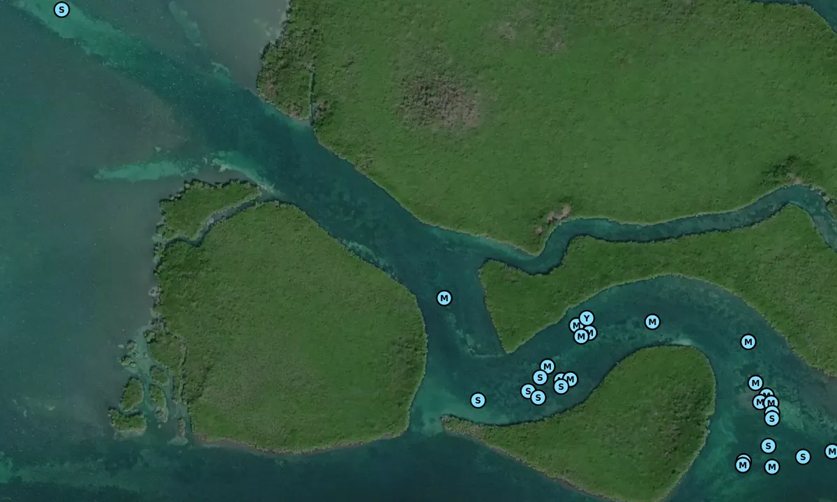 Satelite image of Middle Creek