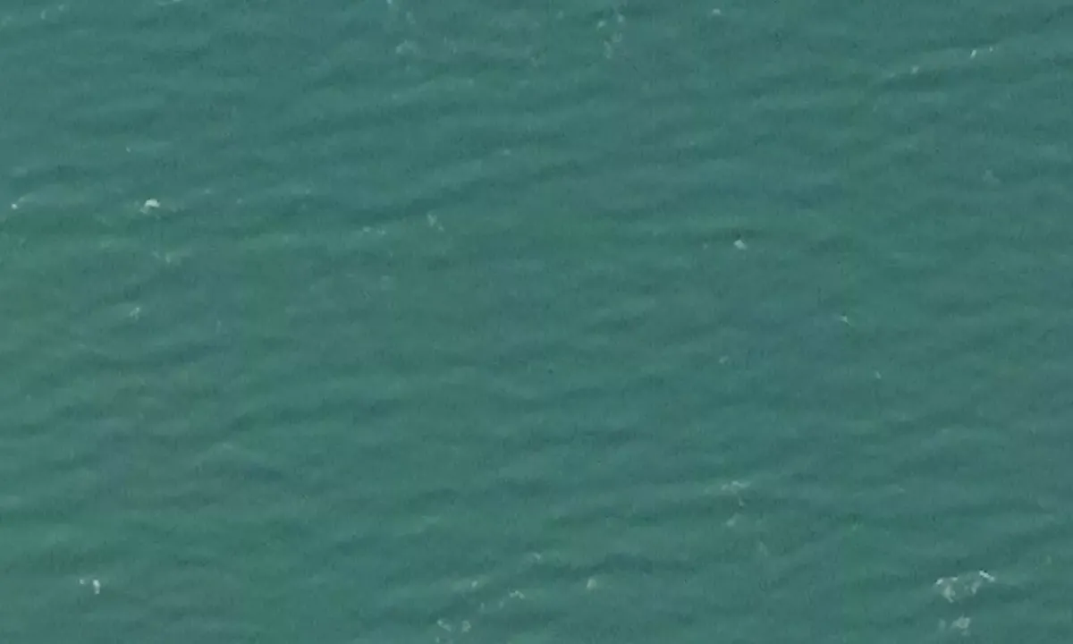 Satelite image of Midterhukhamna - Svalbard