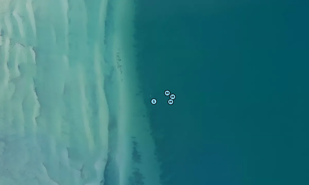 Satelite image of Mikkelborg bouy