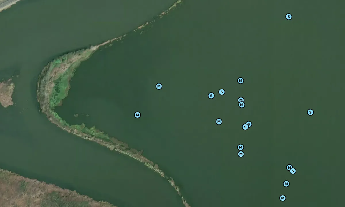 Satelite image of Mildred Island