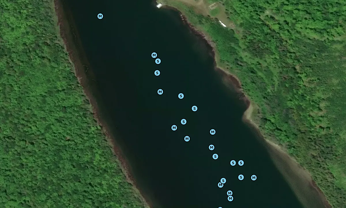 Satelite image of Milford Haven
