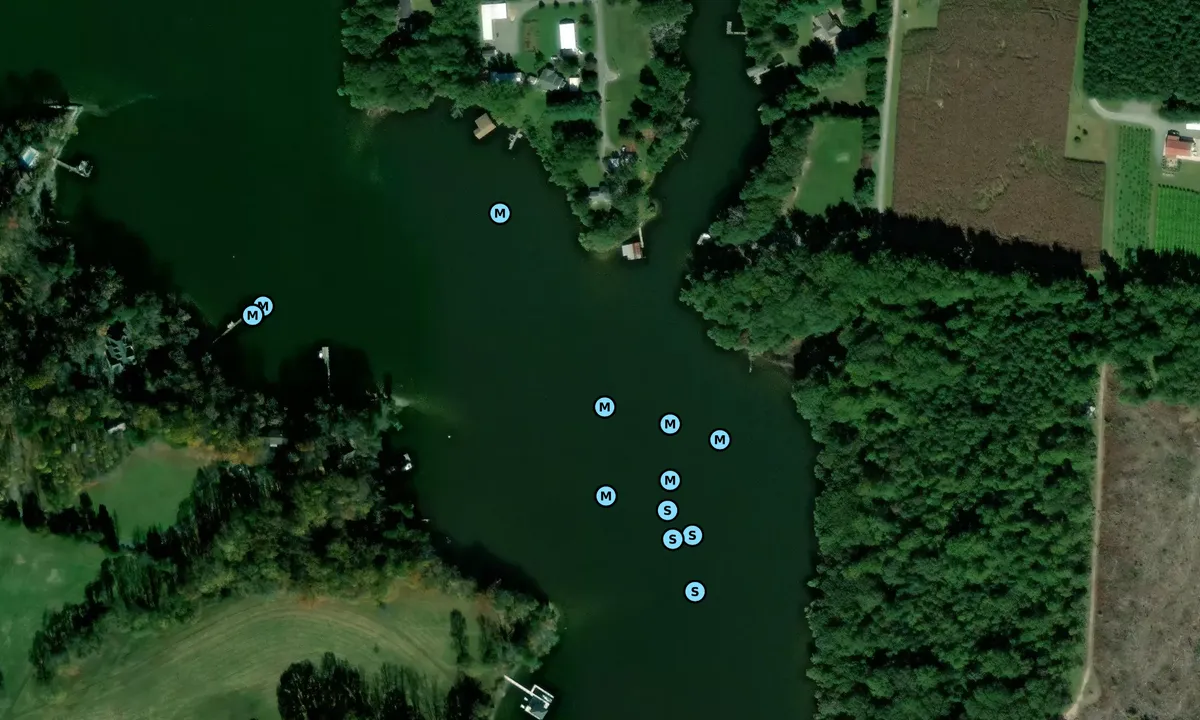 Satelite image of Mill Creek - 5