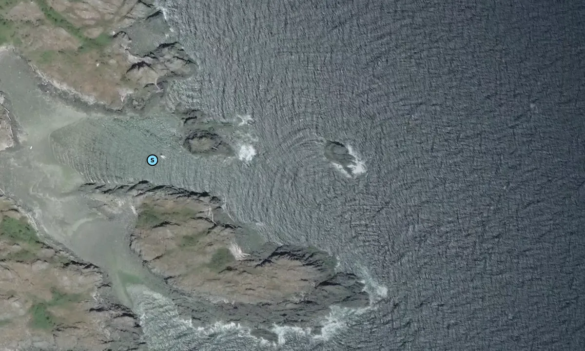 Satelite image of Mitlenatch Island
