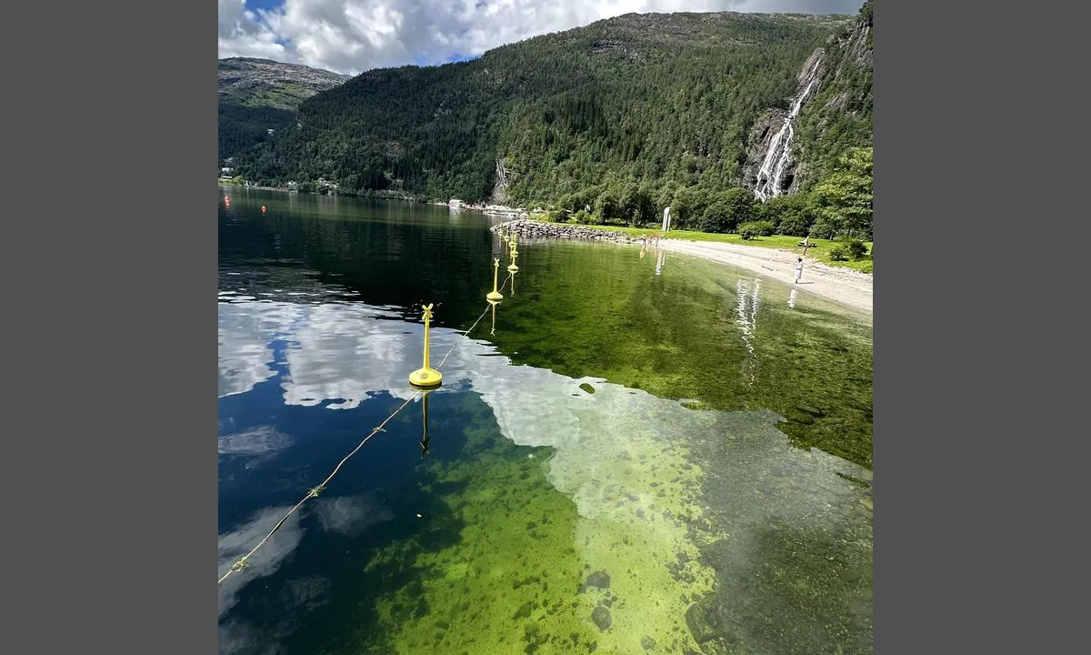 Modalen Båthavn: {"base": "no", "no": "Fin badestrand.", "se": "Fin badstrand.", "en": "Nice beach.", "da": "Fin badestrand."}
