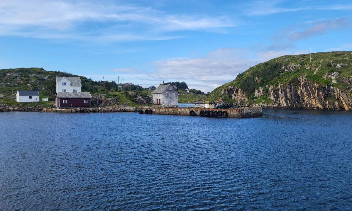 Møkster