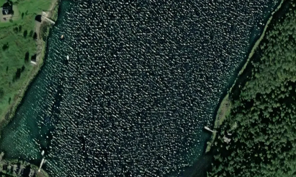 Satelite image of Mølnvågen