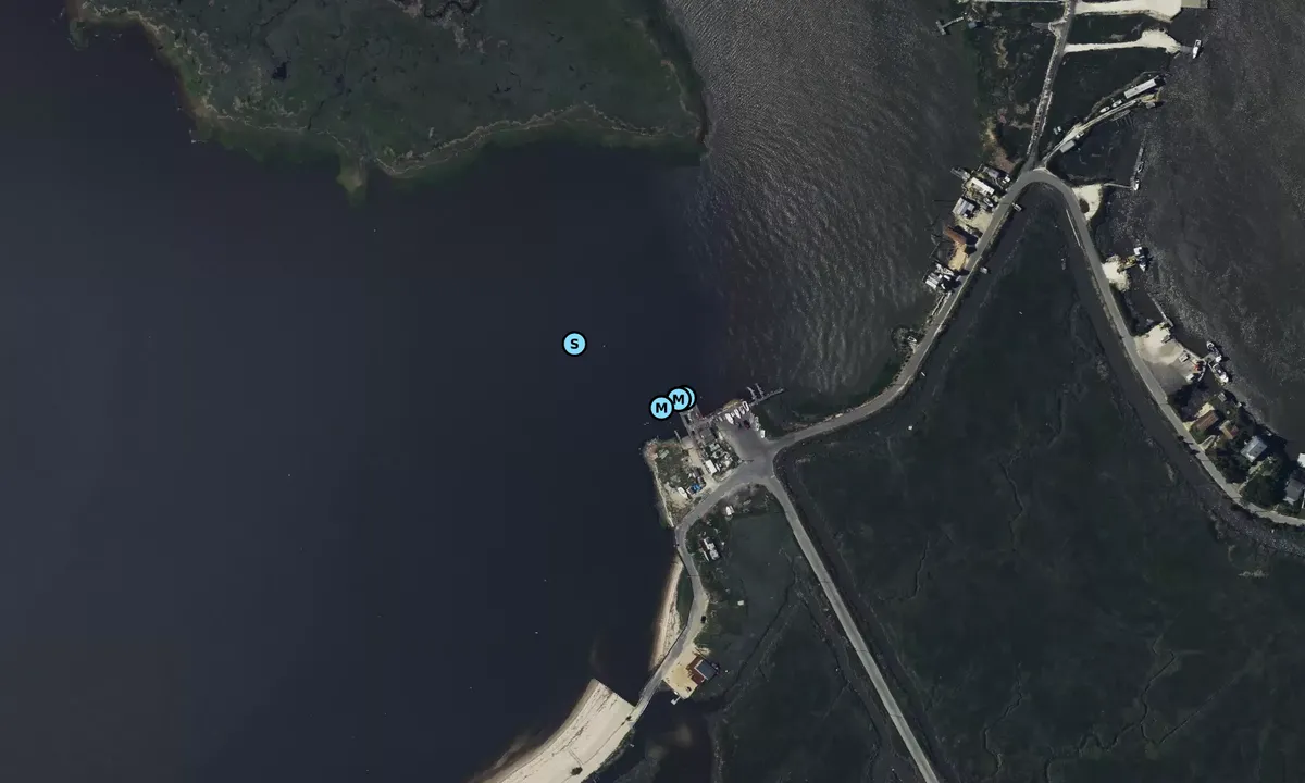 Satelite image of Money Island Marina
