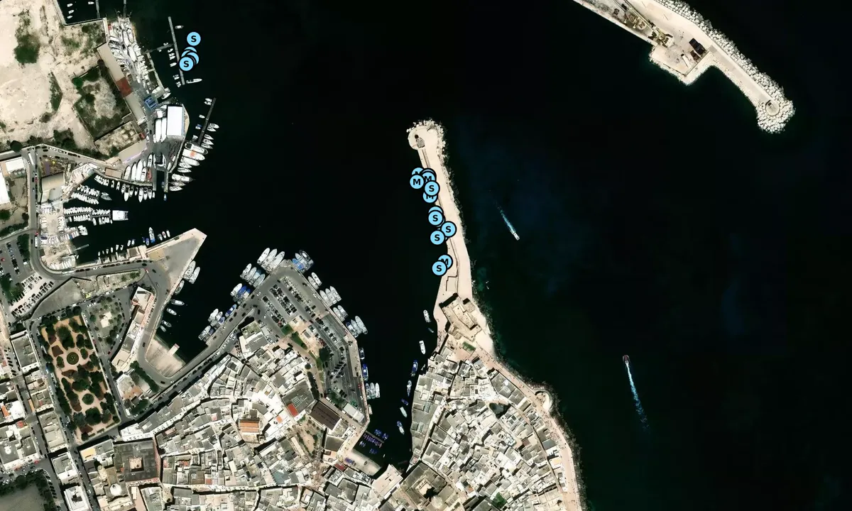 Satelite image of Monopoli Town Dock