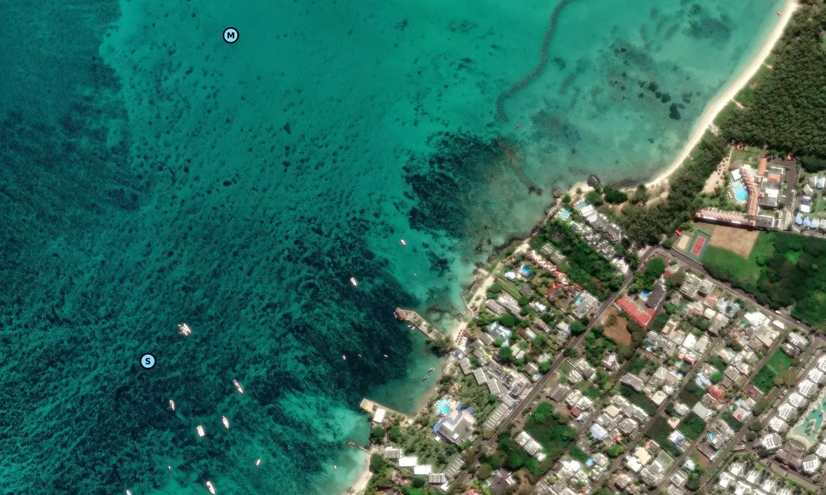 Satelite image of Mont Choisy
