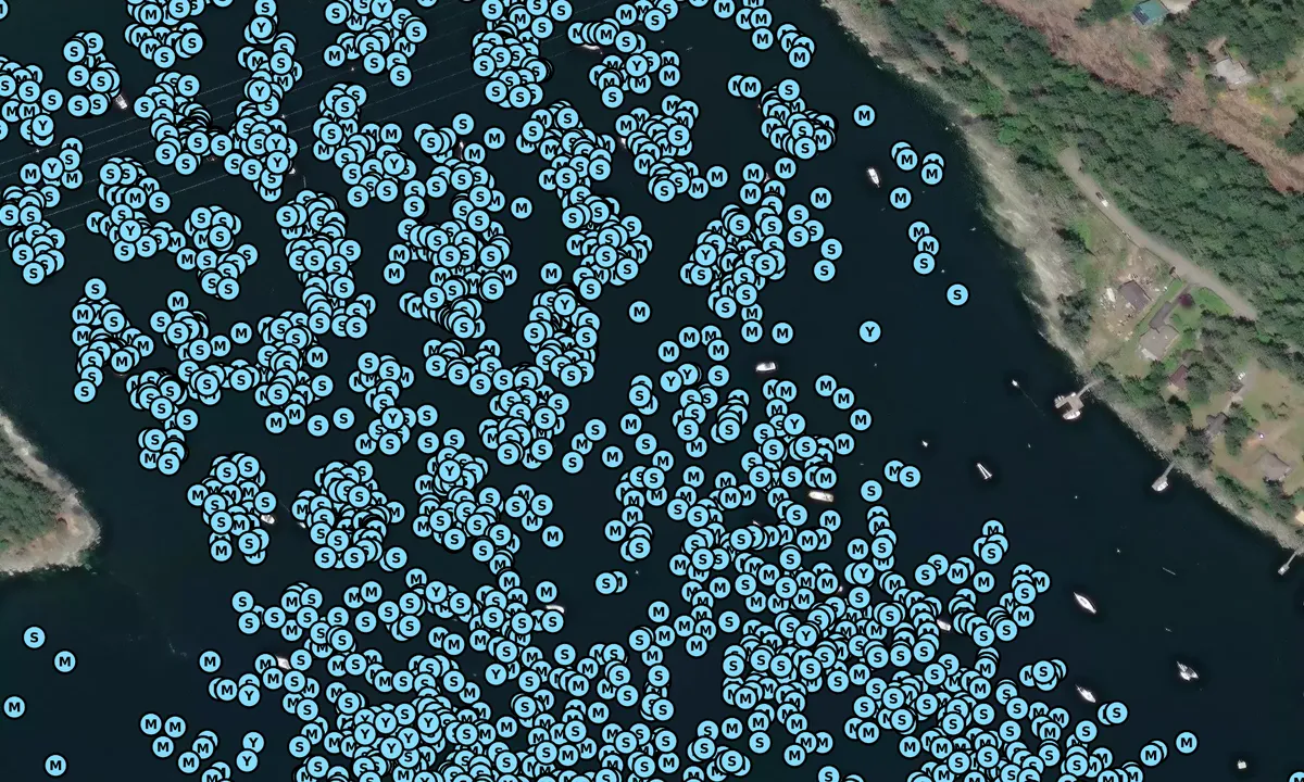Satelite image of Montague Harbour Marine Park - South