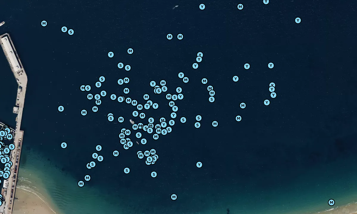 Satelite image of Monterey Basin General Anchorage