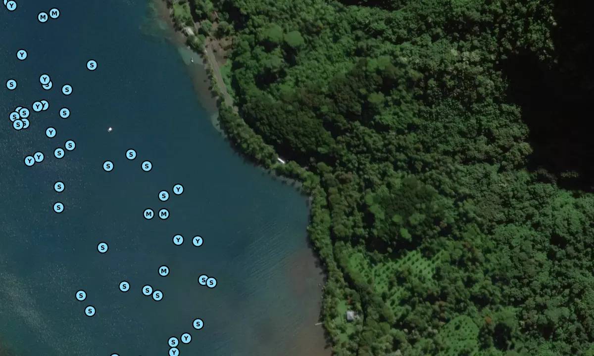 Satelite image of Moorea Marina (Opunohu)