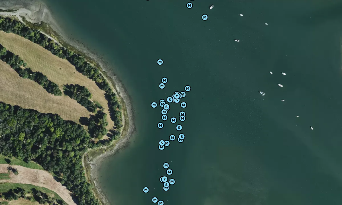 Satelite image of Moorings 6