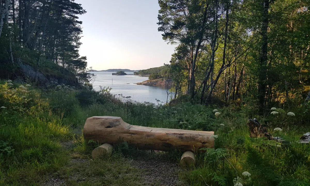 Mordalsvågen: {"base": "no", "no": "Utsikt fra en av stiene i turomr\u00e5det.", "se": "Utsikt fr\u00e5n en av stigarna i vandringsomr\u00e5det.", "en": "View from one of the trails in the hiking area.", "da": "Udsigt fra en af stierne i turomr\u00e5det."}