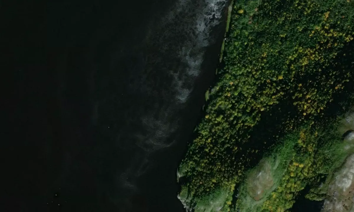 Satelite image of Morgan's Arm