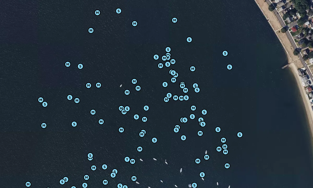 Satelite image of Morris Cove